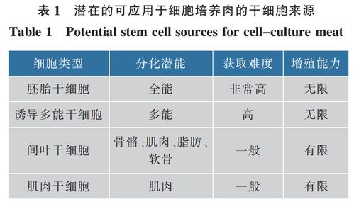 细胞肉培养技术也能用于细胞疗法 业内人士 研发方向不同,但基础原理类似