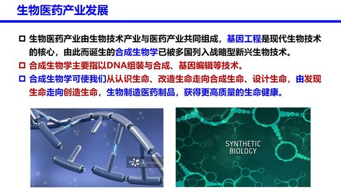 生物医药 主讲人 珠海科技学院 胡文忠